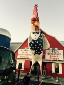 Branson Rooster 2015